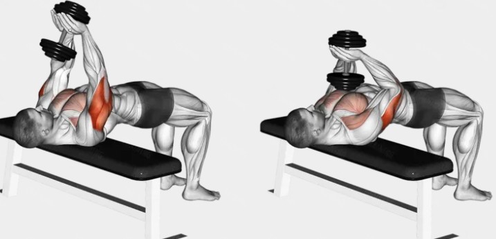 Dumbbell skull crusher start position lying on bench with dumbbells extended above chest, and end position with dumbbells lowered toward the forehead