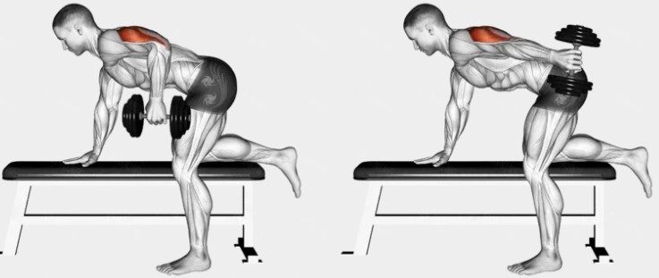 Dumbbell triceps kickback start position with elbow bent at ninety degrees, and end position with arm extended straight back, triceps fully contracted