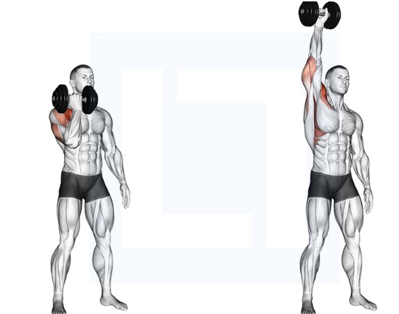 Single-arm dumbbell press standing start position with both dumbbells racked at shoulders, and end position with one arm pressed fully overhead